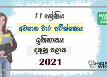 2021 Grade 11 History 3rd Term Test Paper | Southern Province