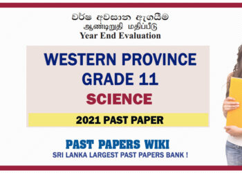 Western Province Grade 11 Science Third Term Paper 2021 – English Medium