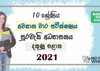 2021 Grade 10 Civics 3rd Term Test Paper | Southern Province
