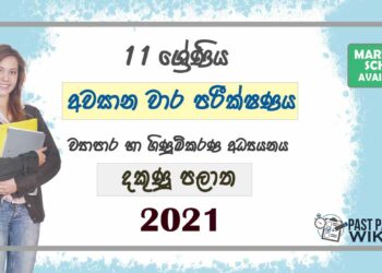 2021 Grade 11 Accounting 3rd Term Test Paper | Southern Province