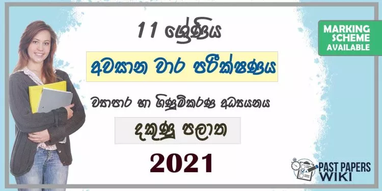 2021 Grade 11 Accounting 3rd Term Test Paper | Southern Province