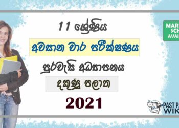 2021 Grade 11 Civics 3rd Term Test Paper | Southern Province