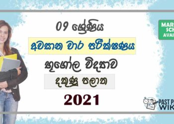 2021 Grade 09 Geography 3rd Term Test Paper | Southern Province