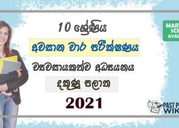 2021 Grade 10 Entrepreneurship Studies 3rd Term Test Paper | Southern Province