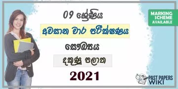 2021 Grade 09 Health 3rd Term Test Paper | Southern Province