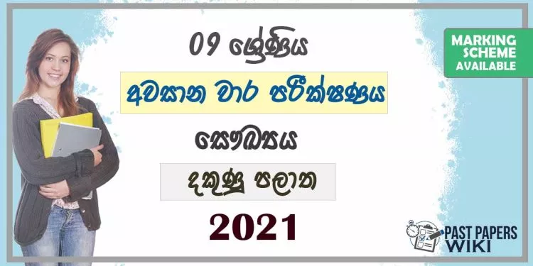 2021 Grade 09 Health 3rd Term Test Paper | Southern Province