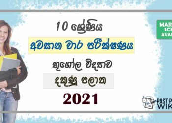 2021 Grade 10 Geography 3rd Term Test Paper | Southern Province