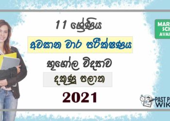 2021 Grade 11 Geography 3rd Term Test Paper | Southern Province