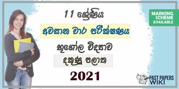 2021 Grade 11 Geography 3rd Term Test Paper | Southern Province