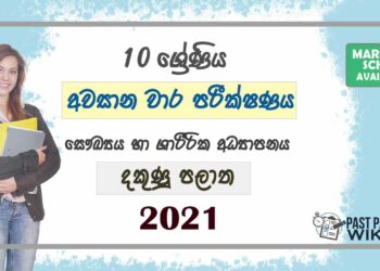 2021 Grade 10 Health 3rd Term Test Paper | Southern Province