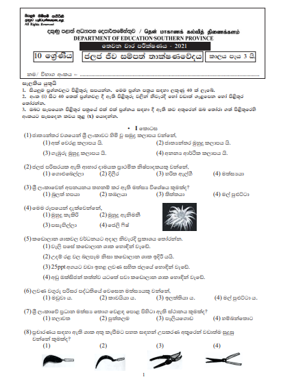 2021 Grade 10 Bio Resources Technology 3rd Term Test Paper | Southern Province