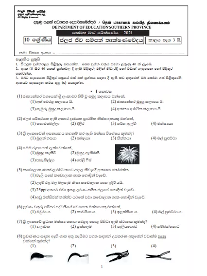 2021 Grade 10 Bio Resources Technology 3rd Term Test Paper | Southern Province