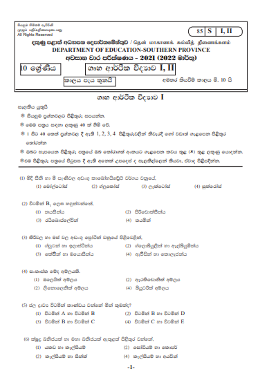 2021 Grade 10 Home Science 3rd Term Test Paper | Southern Province