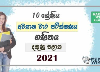 2021 Grade 10 Maths 3rd Term Test Paper | Southern Province