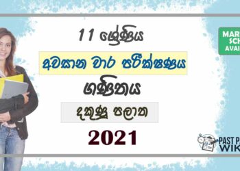 2021 Grade 11 Maths 3rd Term Test Paper | Southern Province