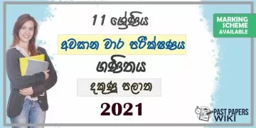 2021 Grade 11 Maths 3rd Term Test Paper | Southern Province