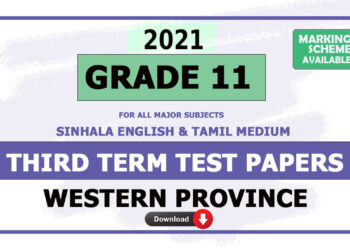 Grade 11 Western Province Third Term Test Papers 2021 with answers
