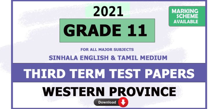 Grade 11 Western Province Third Term Test Papers 2021 with answers
