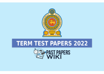 School Term test Papers (2022) in Sinhala Tamil English Medium With Answers