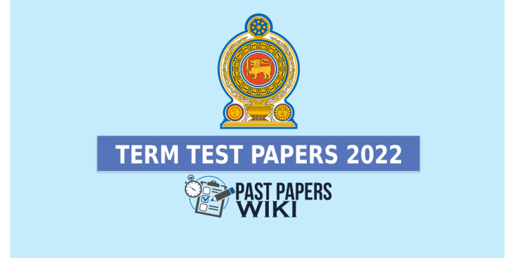 School Term test Papers (2022) in Sinhala Tamil English Medium With Answers