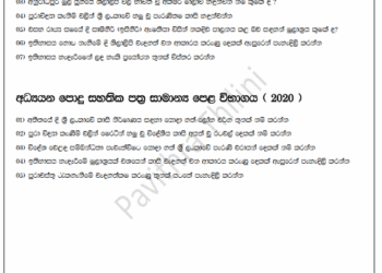 Previous O/L History Questions By Lesson (Lesson wise Past Papers)