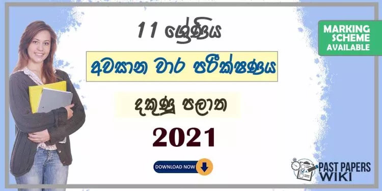 Third Term Test Papers 2021 | Grade 11 - Southern Province