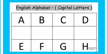 Grade 01 English Language - English Alphabet