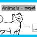 Grade 01 English Language - Animals