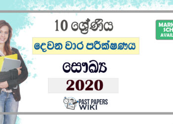 Grade 10 Health Second Term Test Paper with Answers 2020