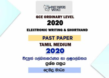 2020 O/L Electronic Writing And Shorthand Past Paper | Tamil Medium