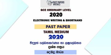 2020 O/L Electronic Writing And Shorthand Past Paper | Tamil Medium