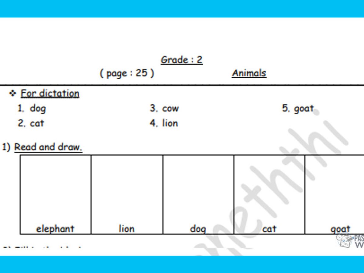 grade 2 past papers wiki