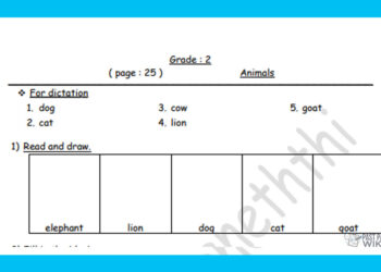 Grade 02 English Language - Animals