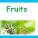 Grade 03 English Language - Fruits