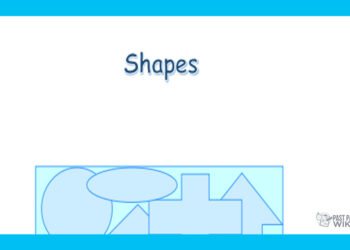 Grade 03 English Language - Shapes
