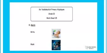 Grade 03 English Language - Worksheet 05