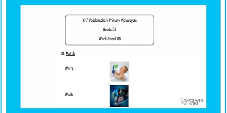 Grade 03 English Language - Worksheet 05