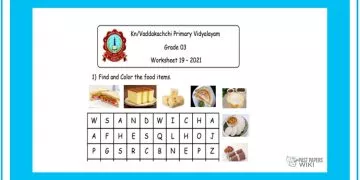 Grade 03 English Language - Worksheet 19