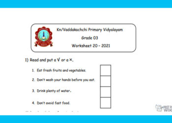 Grade 03 English Language - Worksheet 20