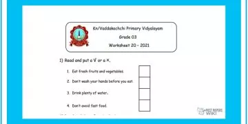 Grade 03 English Language - Worksheet 20
