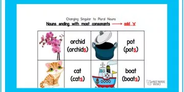 Grade 03 English Language - The Nouns