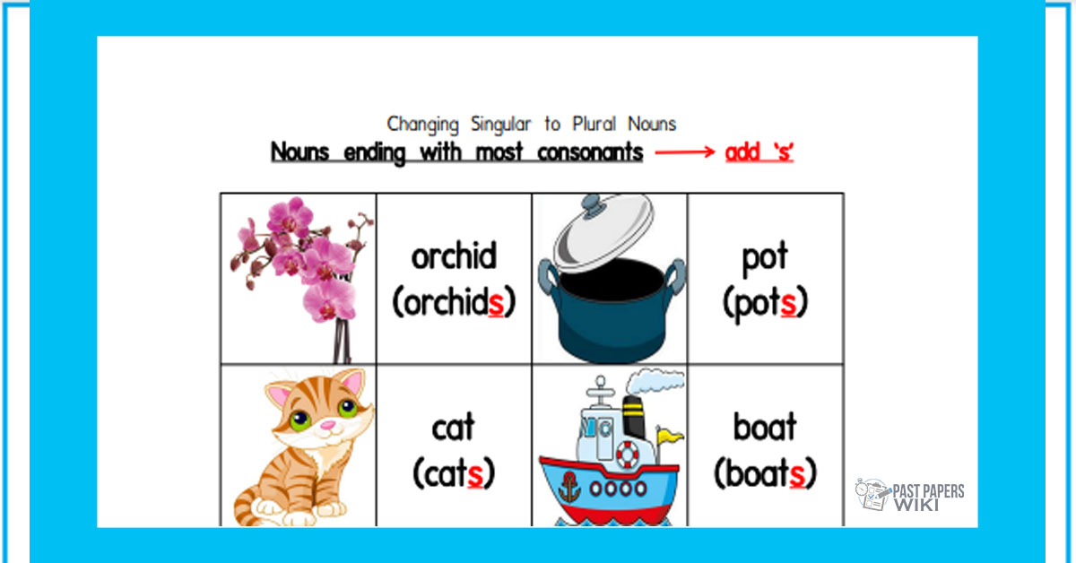 Grade 03 English Language - The Nouns