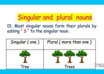 Grade 03 English Language - The Nouns 2