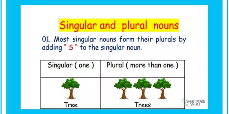 Grade 03 English Language - The Nouns 2