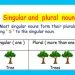 Grade 03 English Language - The Nouns 2