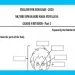 Grade 04 English Language - Revision Part 01