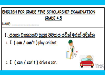 Grade 04 English Language - Scholarship Tute