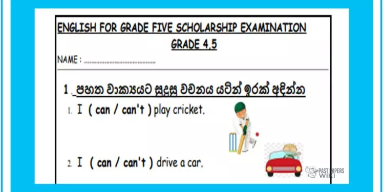 Grade 04 English Language - Scholarship Tute