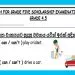 Grade 04 English Language - Scholarship Tute
