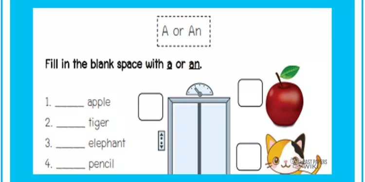 Grade 04 English Language - Grammar Worksheet